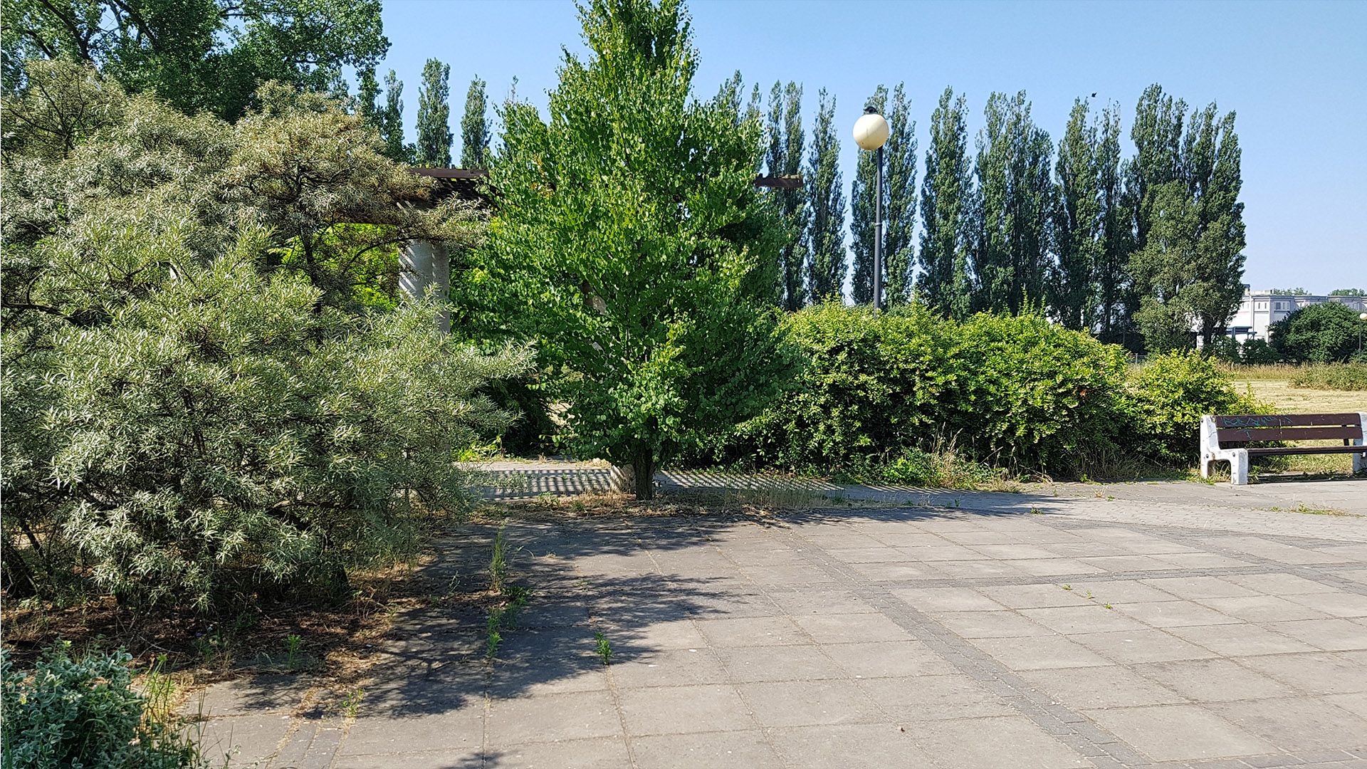 Park nad Ochnią